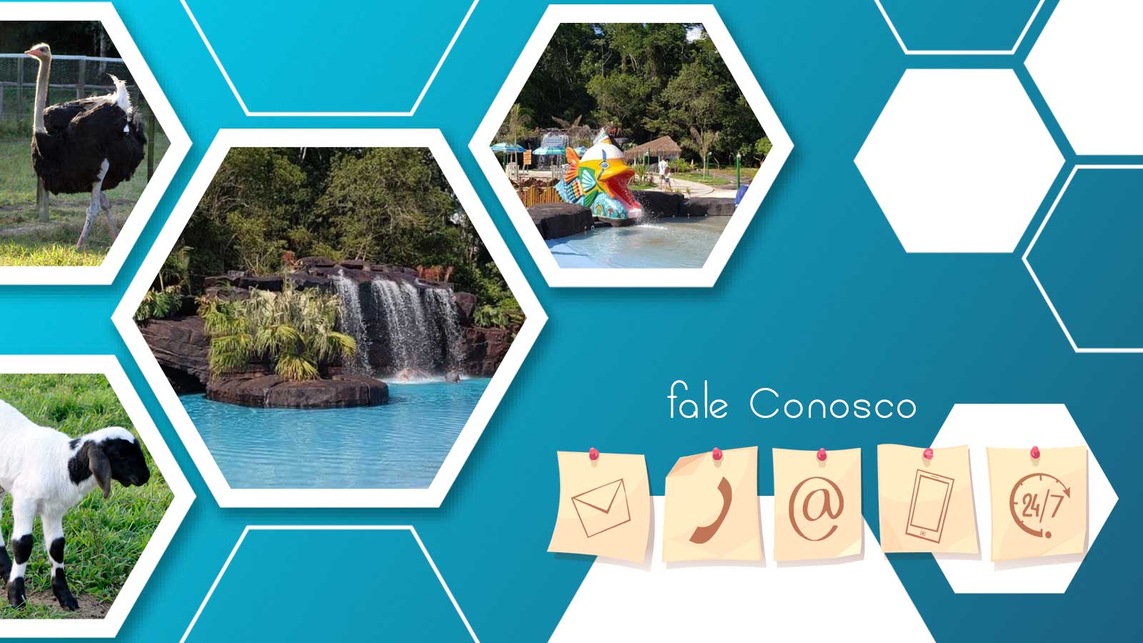 Fale Conosco